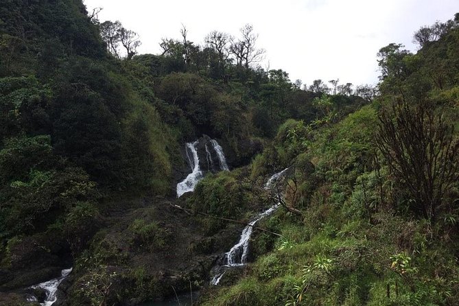 Maui Tour : Road to Hana Day Trip from Lahaina with Pick-up - Black Sand Beach and Wai‘anapanapa State Park