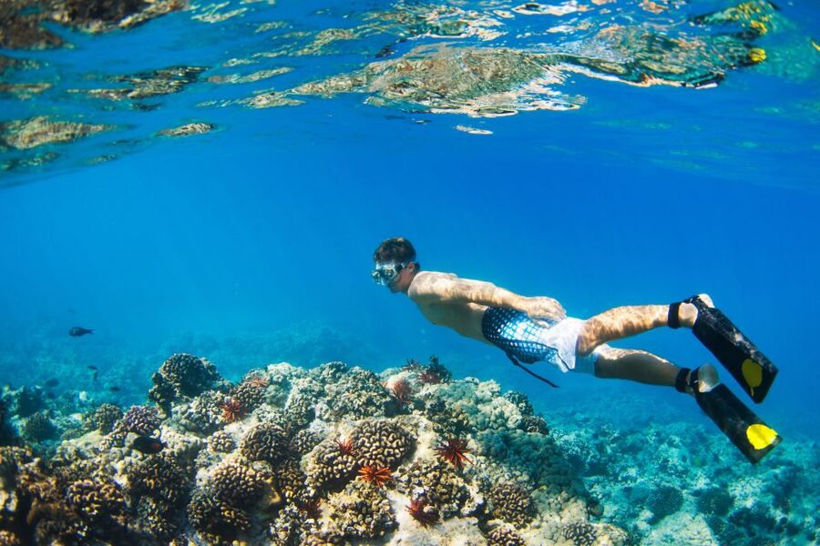 Maui: Turtle Town Kayak and Snorkel Tour - Key points to know before you book