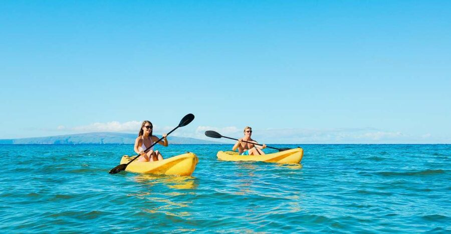 Maui: Turtle Town Kayak and Snorkel Tour - Whale season adds a second layer of wildlife