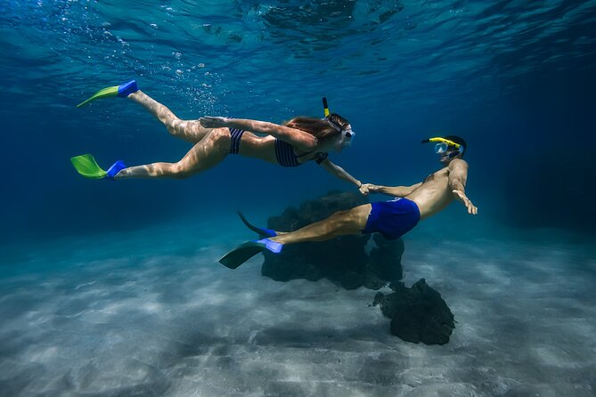 Maui: Turtle Town Snorkel with Photo and Video - Key points to know before you book