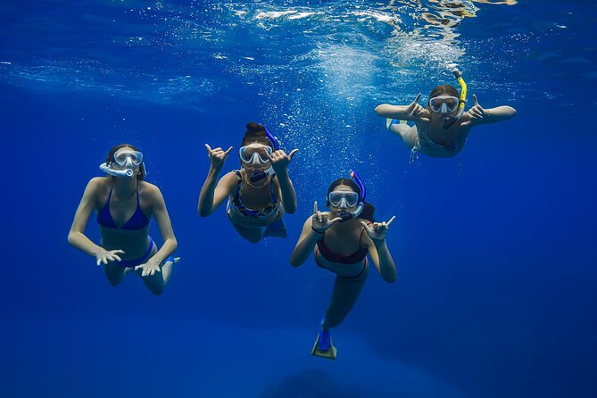 Maui: Turtle Town Snorkel with Photo and Video - Why this Turtle Town trip works without a boat