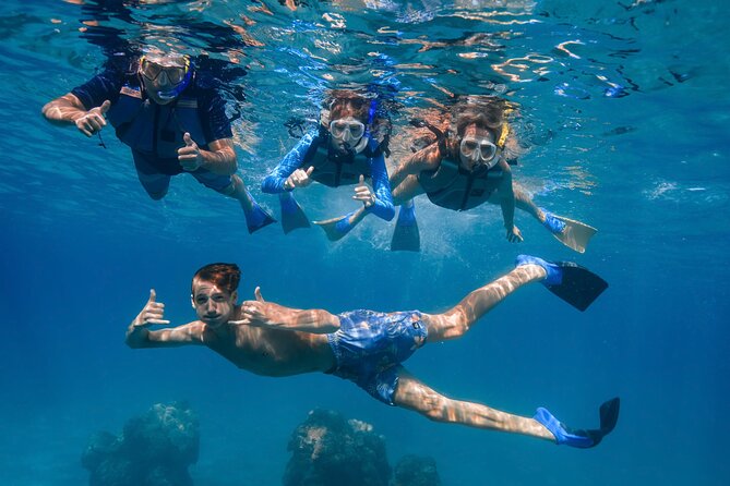 Maui: Turtle Town Snorkel with Photo and Video - The guided swim to Turtle Town