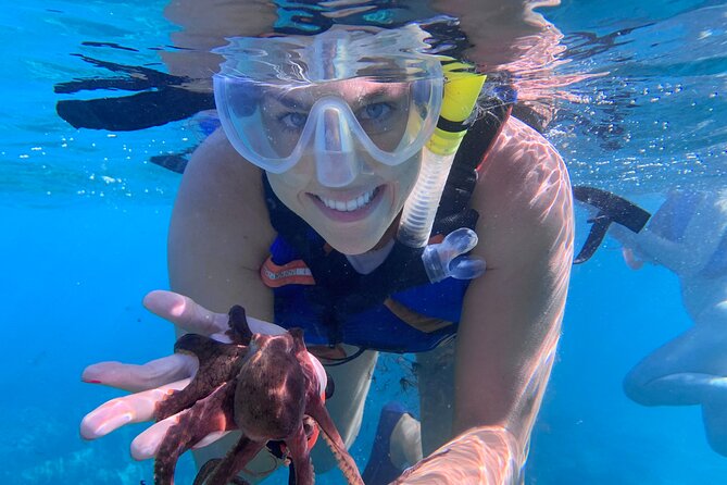 Maui: Turtle Town Snorkel with Photo and Video - Photos and video you can actually keep