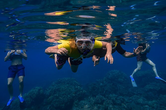 Maui: Turtle Town Snorkel with Photo and Video - Weather, cancellations, and location changes