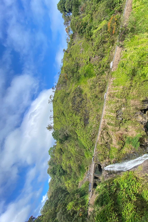 Maui: Van Day Trip to Hana with Local Guide and Lunch - Door-to-door pickup makes a long day easier