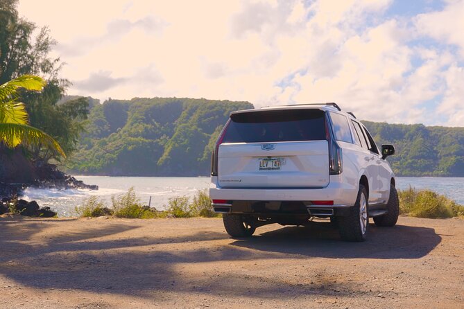 Maui: VIP Private Road to Hana Tour with Pick Up - Upper Waikani Falls is quick but photogenic