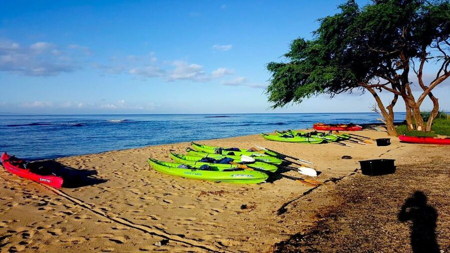 Maui: West Side Discovery Kayak & Snorkel from UKUMEHAME - Key points to know before booking