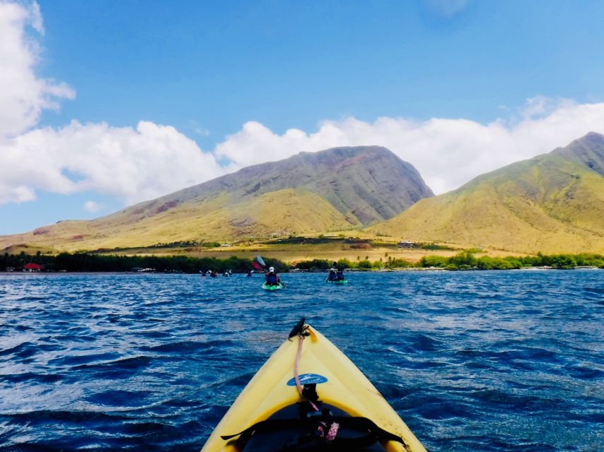 Maui: West Side Discovery Kayak & Snorkel from UKUMEHAME - Who will enjoy this outing most?