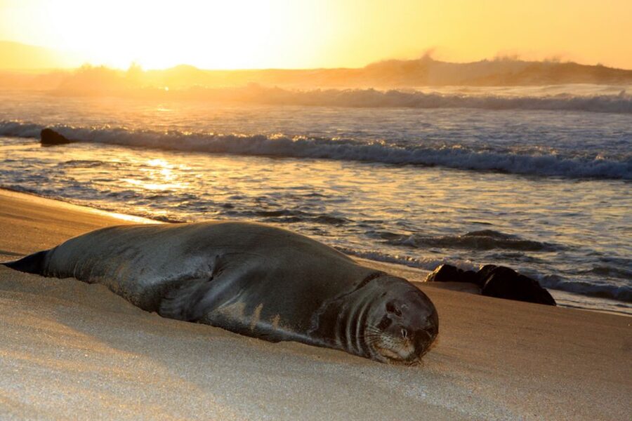 Maui: West Side Discovery Kayak & Snorkel from UKUMEHAME - Why the route may change