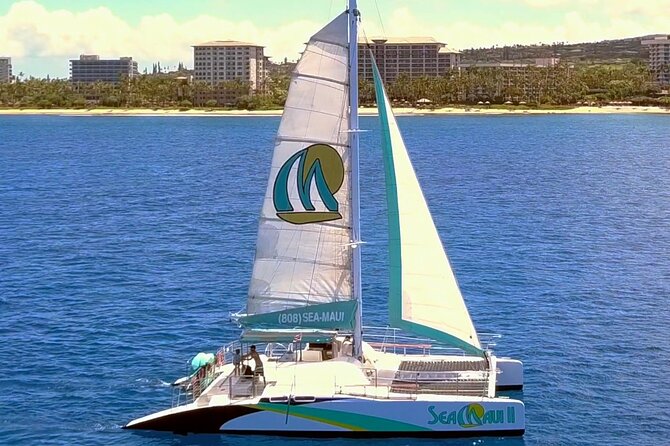 Maui: Whale Watching Cruise with Open Bar from Ka'anapali Beach - Meeting Sea Maui at Ka’anapali Beach