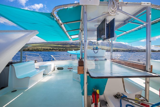 Maui: Whale Watching Cruise with Open Bar from Ka'anapali Beach - Who should book this cruise