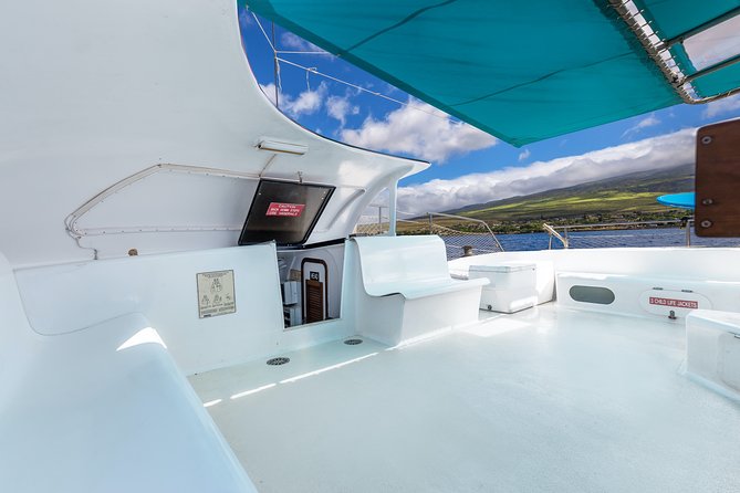 Maui: Whale Watching Cruise with Open Bar from Ka'anapali Beach - Practical tips for a better whale watch