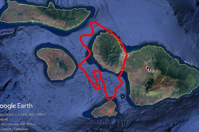 Maui Whale Watching -PRIVATE- Air Tour: (2-5 People): SEE WHALES! - Molokini and the whale search