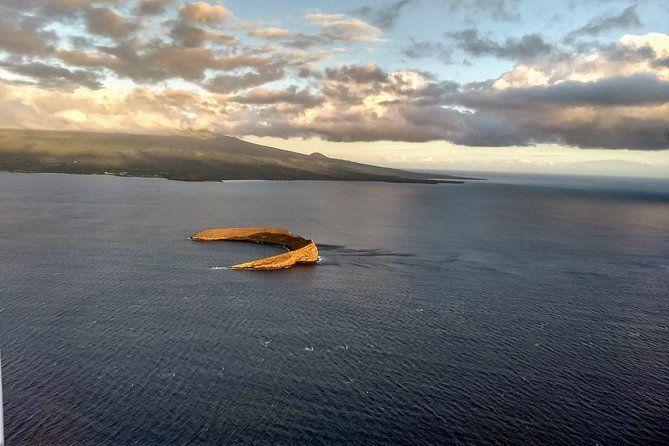 Maui Whale Watching -PRIVATE- Air Tour: (2-5 People): SEE WHALES! - A small plane and better photo angles