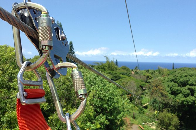 Maui Zipline Eco Adventure: 8 Lines through the Jungle - Eight lines through Haiku’s tropical trees