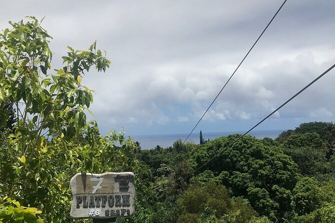 Maui Zipline Eco Adventure: 8 Lines through the Jungle - The tree platforms and bridges add real variety