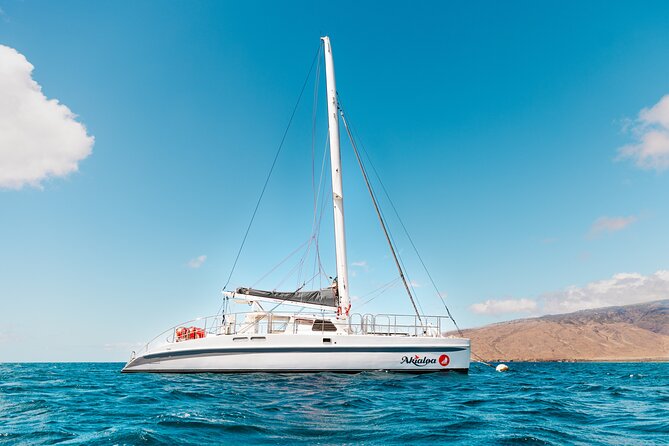 Midday Whale Watch: Mā’alaea Harbor - Sail power, motor power, and the role of the crew