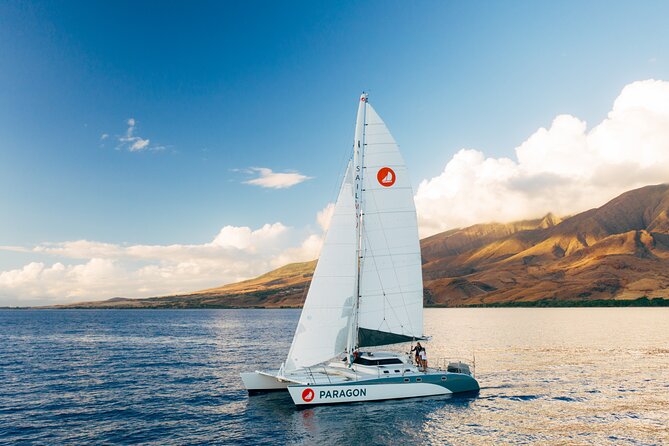 Midmorning Whale Watch from Lahaina Harbor - Shaded Seats and Bow Trampolines