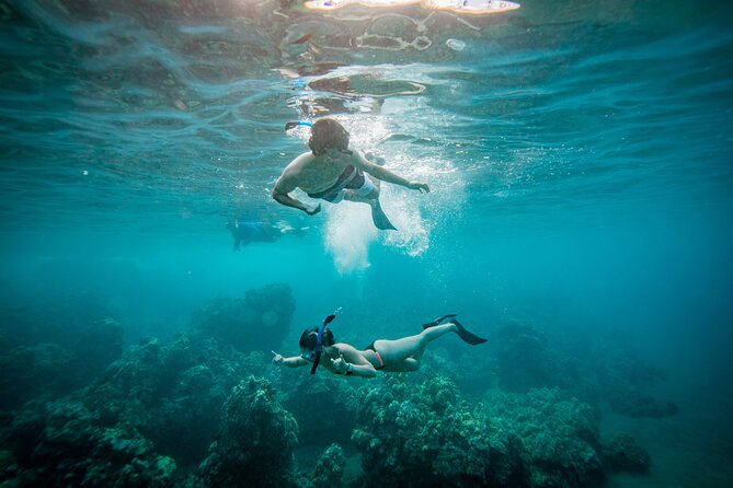 Molokini Crater Snorkel & Whale Watch Adventure (Dec 15-Mar 30) - Key points to know before booking
