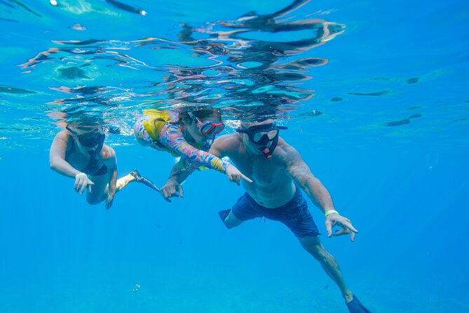 Molokini Crater Snorkel & Whale Watch Adventure (Dec 15-Mar 30) - Why the smaller boat helps