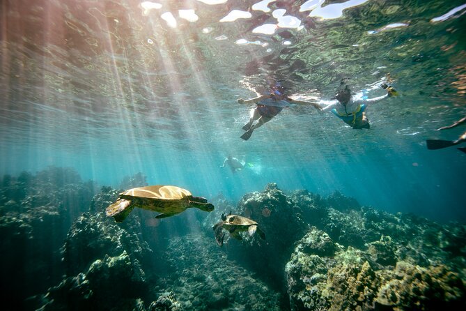 Molokini Crater Snorkel & Whale Watch Adventure (Dec 15-Mar 30) - Booking, cancellation, and practical limits