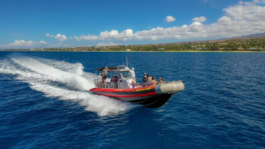 Molokini Crater Snorkel & Whale Watching (Dec 15 – Mar 30) - What makes this Molokini trip worth considering