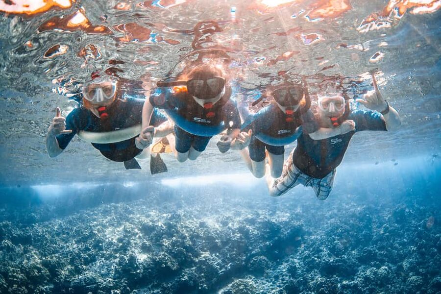 Molokini Crater Snorkel & Whale Watching (Dec 15 – Mar 30) - The return ride, snacks, and timing