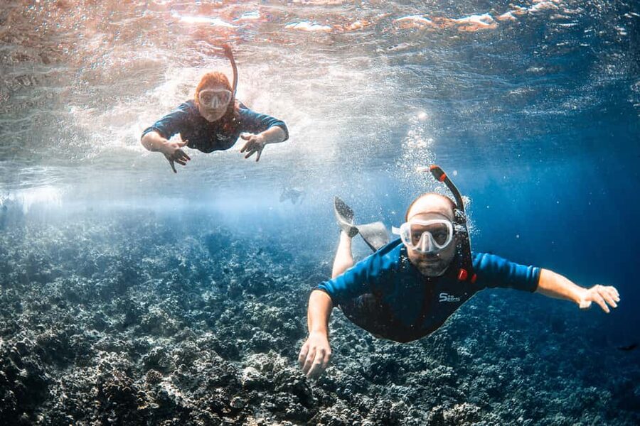 Molokini Crater Snorkel & Whale Watching (Dec 15 – Mar 30) - Who will enjoy this boat trip most