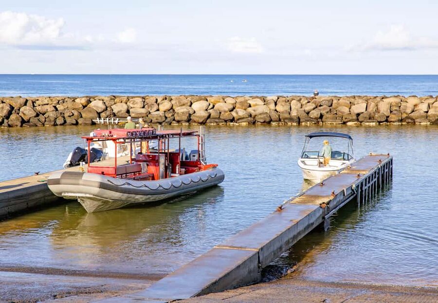 Molokini Crater Snorkel & Whale Watching (Dec 15 – Mar 30) - The final call: should you book it?