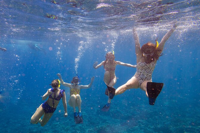 Molokini Snorkel and Performance Sail: Mā’alaea Harbor - Key points to know before booking