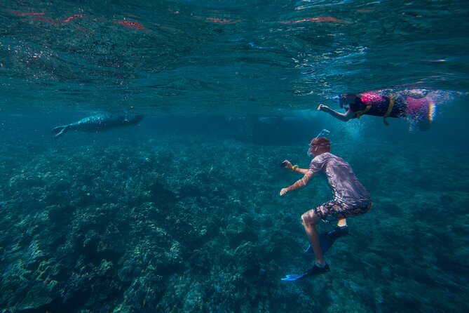 Molokini Snorkel and Performance Sail: Mā’alaea Harbor - When weather changes the plan