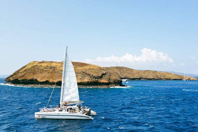 Molokini Snorkel and Performance Sail: Mā’alaea Harbor - Lunch, drinks, and the ride home