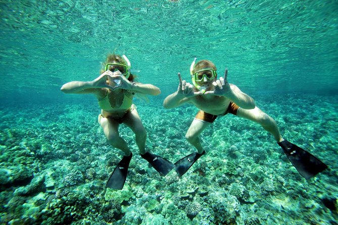 Molokini Snorkel and Performance Sail: Mā’alaea Harbor - Is $200 per person a fair price?