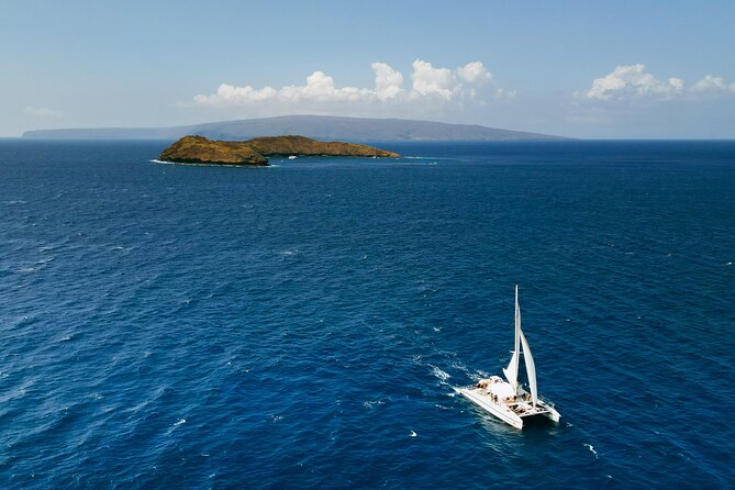 Molokini Snorkel and Performance Sail: Mā’alaea Harbor - Should you book the Sail Maui Molokini experience?