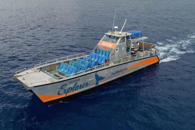 Molokini & Turtle Adventure: Small Group from Ma'alaea Harbor - Starting early at Maʻalaea Harbor