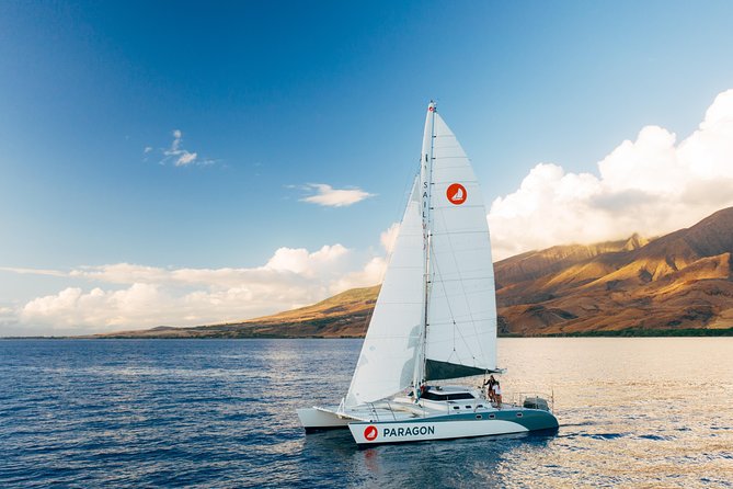 Morning Whale Watch: Lahaina Harbor - Setting Out From Lahaina Harbor at 9:00 a.m.