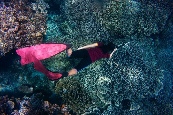 Night-Time Snorkel at TurtleTown with Stars, Lights, and Photos - Switching on the colored lights after dark