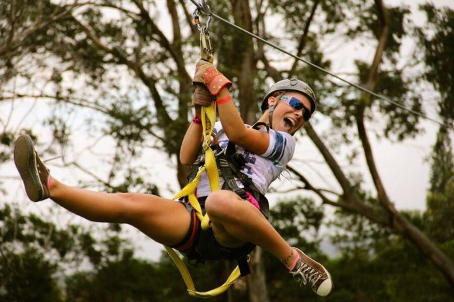 North Maui: 7 Line Zipline Adventure with Ocean Views - Key points at a glance