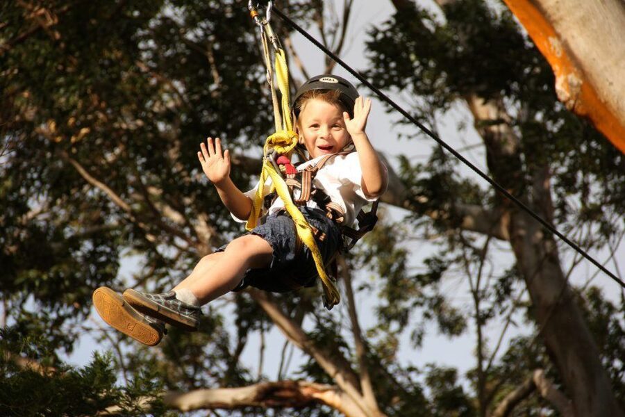 North Maui: 7 Line Zipline Adventure with Ocean Views - Should you book the North Maui zipline?