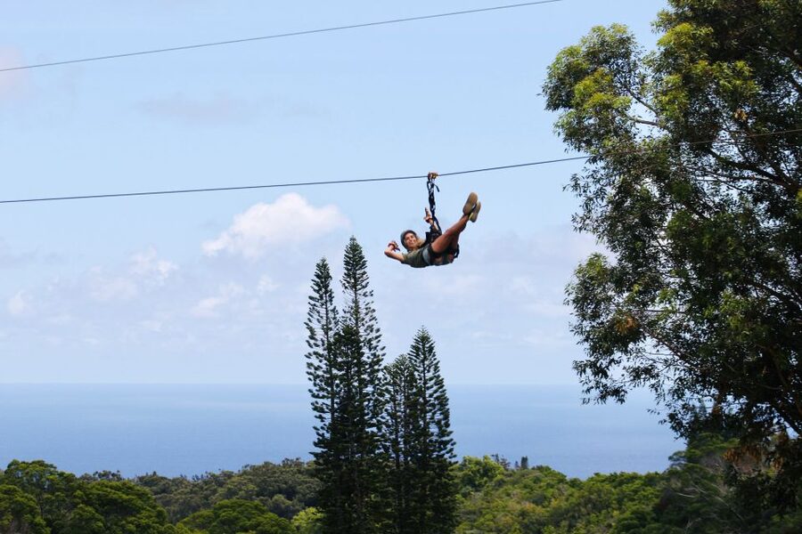 North Maui: 7 Line Zipline Adventure with Ocean Views - Seven lines through the eucalyptus forest