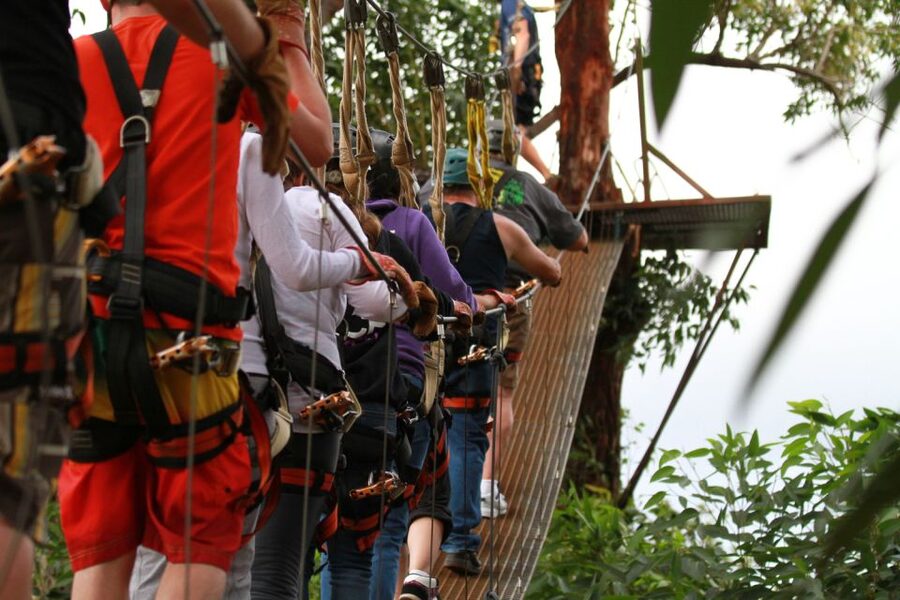 North Maui: 7 Line Zipline Adventure with Ocean Views - Practical details that make the day easier