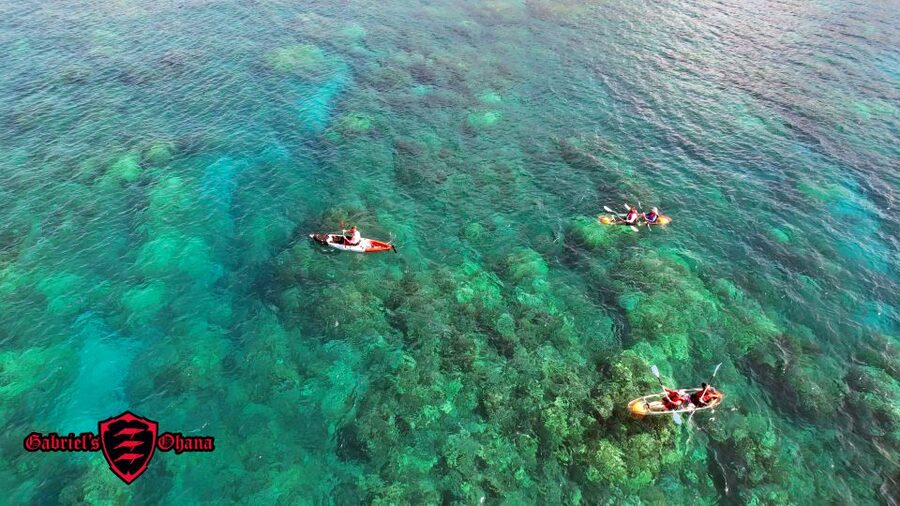 Olowalu: Guided Clear Kayak Tour - Unlimited - Who will enjoy this most