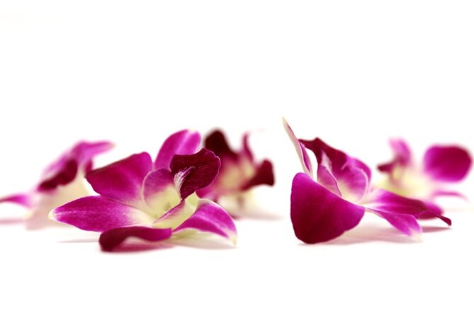 Orchid Airport Lei Greeting (Maui, Kahului Airport, OGG) - Aloha begins before the luggage carousel