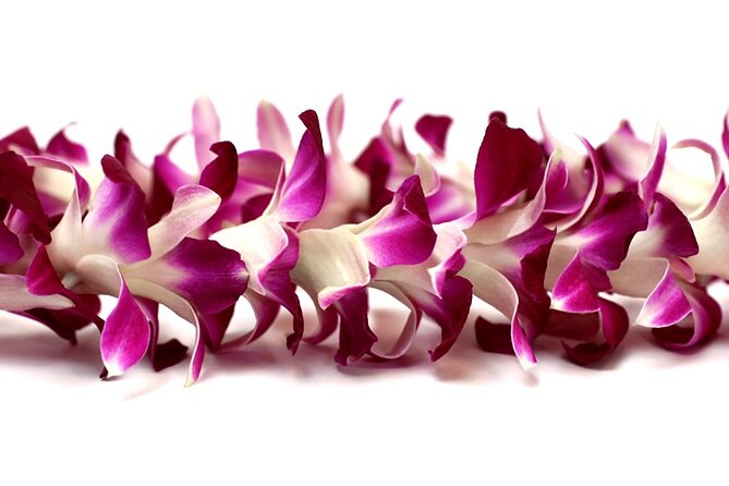 Orchid Airport Lei Greeting (Maui, Kahului Airport, OGG) - The lei itself: lovely, fresh, and unscented