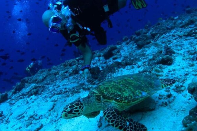 PADI Scuba Lesson and Shore Dive in Maui - Learning the basics before entering Kahekili Beach