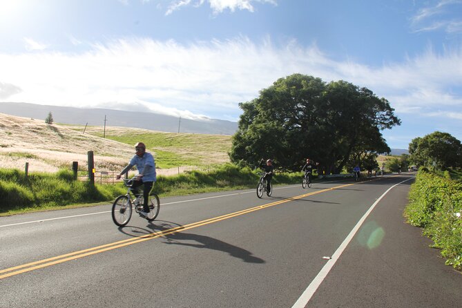 Predawn-Morning Haleakala Bike Tour 6,500 to Sea Level - Why the small group matters on a downhill road