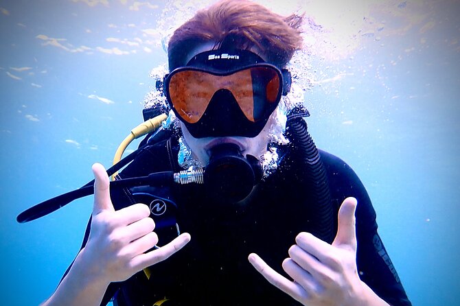 Private and Personalized Scuba Diving Adventures for All Experience Levels - Kapalua Beach: a final West Maui setting