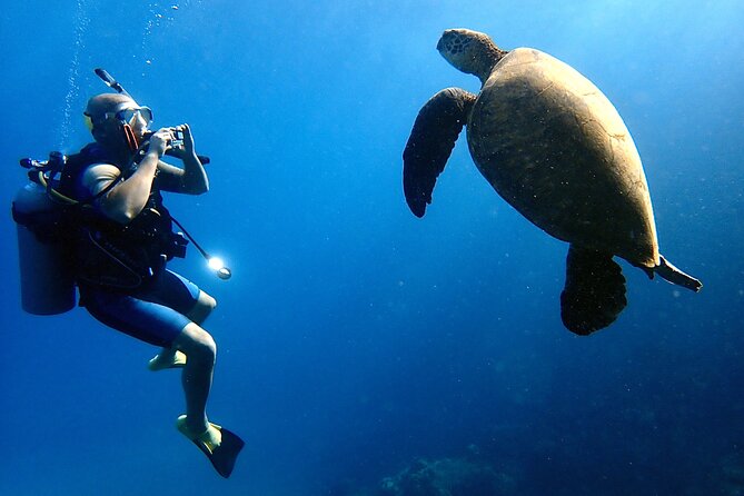 Private and Personalized Scuba Diving Adventures for All Experience Levels - Olowalu Beach: a beach-based introduction
