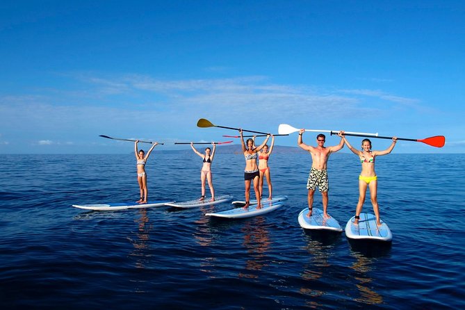 Private Beginner Paddleboard 101 Lesson: Makena Landing! - Paddling through Turtle Town