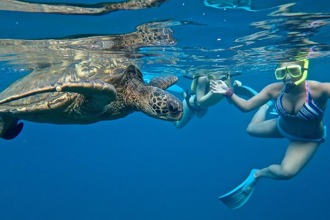 Private Beginner Paddleboard Lesson with Snorkel in Turtle Town - Learning to stand at Makena Landing